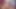 Azgın adam büyük siyah yarağını emerken seviyor