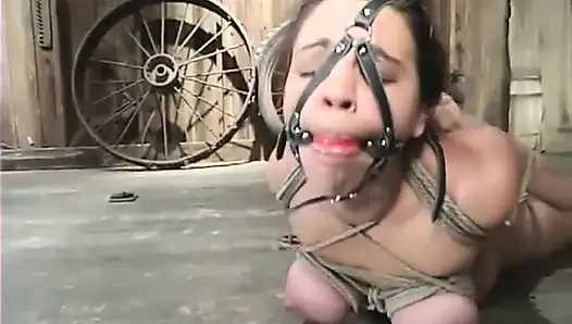 Jenya
