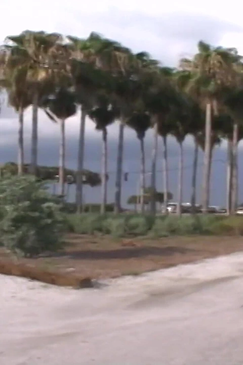 Üç ateşli kız halka açık plajda çıplak oynuyor