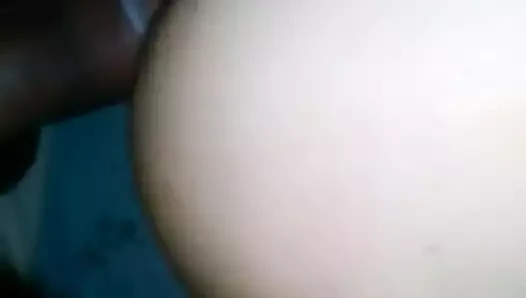 Troietta italiana montata a peccorina