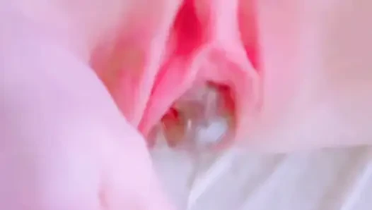 Malezyalı liseli kız pembe amcık