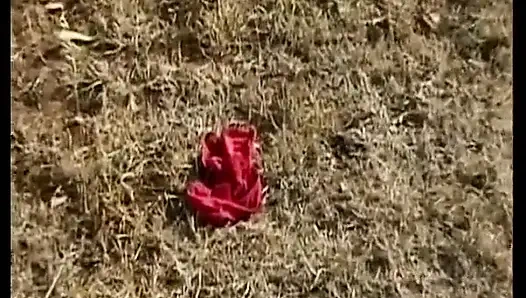 Doğal saçlı esmer Alman genç erkek avcısı açık havada grup sekste sikiliyor