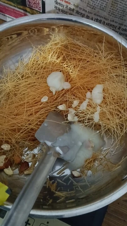 Eşcinsel seks: döl pişirme sikiş videosu