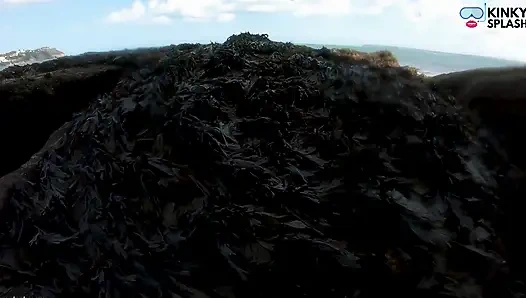 Deniz kızı görüldü! Lost Cove'da ıslak Karşılaşma