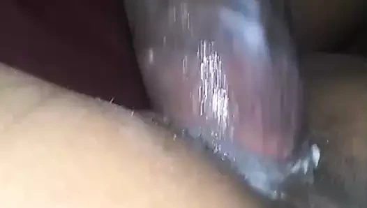 Kedi sızma dışarı krem ​​tüm üzerinde benim bbc