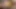 Bbw latina frantic oynama üzerinde kam