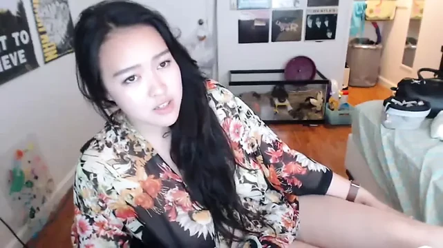 Web kamerası