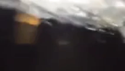 doggystyle kral curtis