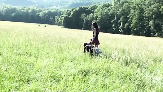 Glamour kızın köpek eğitimi