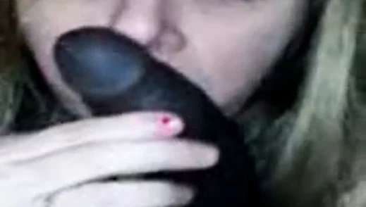 Büyük siyah horoz için itaatkar. bbc