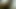 Png demo koap