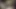Hintli kız erkek arkadaşıyla seks yapıyor