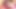 Sevimli genç kız ıslak amına dildo sokmanın tadını çıkarıyor