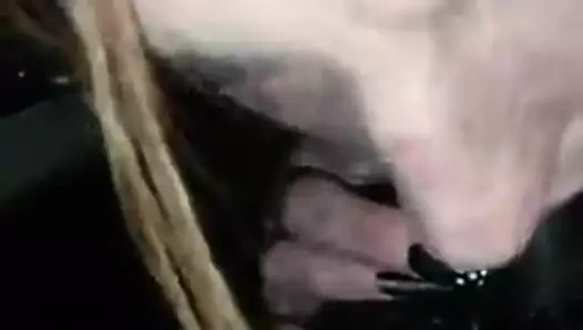 çatlak kafa darbe iş