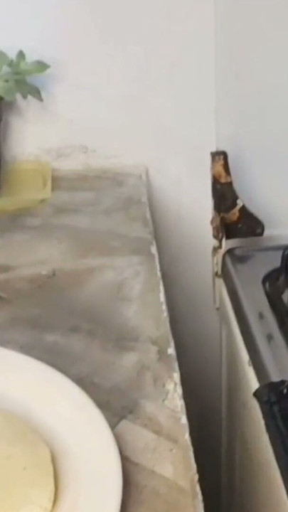 Büyük kıçlı Latina kız mutfakta yemek yapıyor ve twerk yapıyor | Bölüm 2
