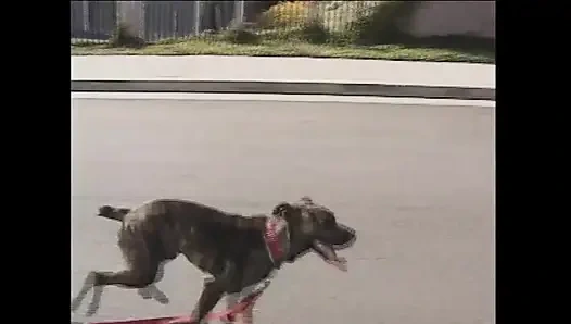 Southern belle baştan çıkarma sahnesi - bölüm 6