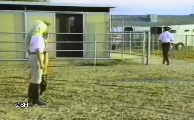 Evcil hayvan kızları eğitimi