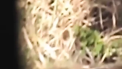 Parkta mastürbasyon yapan!!!