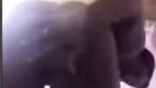 Facebook kamera yissel camacho