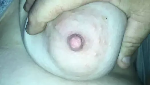 Sarkık baştankara, büyük meme!