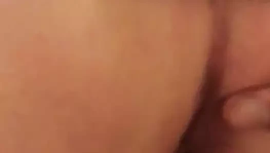 ev yapımı eş köpek