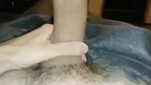 benim Alman büyük horoz