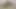 Güzel Kolombiyalı özel seçmelerde