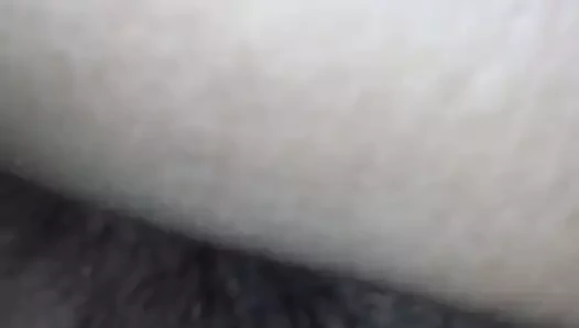 Şişe kahrolası kedi