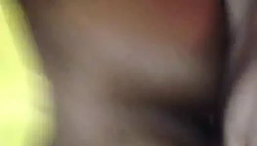 Levrette d'un bon gros Q