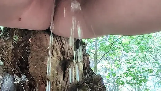 Ormanda hızlı bir işeme