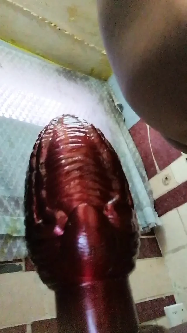 Mi dildo nuebo