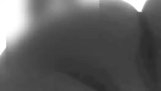 Siyah ve beyaz büyük ganimet göt gösteri