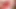 Redhead busty ladyboy in red lingerie gets her firm big tits out and her hard ladyboy cock to wank while sucking off the camera