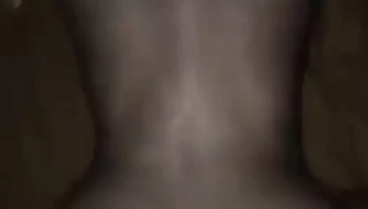 Sahip olduğum en iyi köpek stili