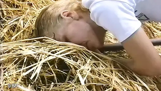 Çiftlikte hakimiyet