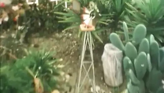 Connie Peterson üçlüsü