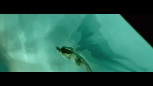 kupa şövalyesi Isabel lucas