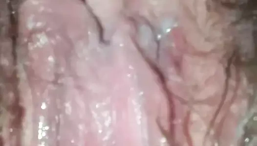 Benim ıslak kedi ile oynamak