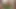 Topuklu baştan çıkarıcı Asyalı bebek, vahşi yolculuk ve 8k60 fps'de yoğun yüze boşalma