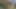 Büyük götlü çarpıcı kız çalıda iyi bir yarakla sikiliyor