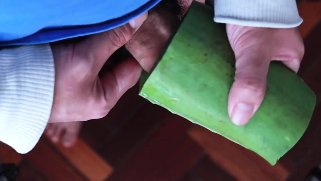 Aloe Vera'yı Fleshlight Olarak Kullanma