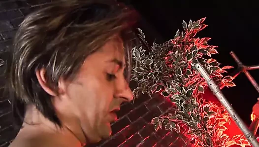 Abanoz tanrıça tony'nin horoz tarafından dövülmeye hazır