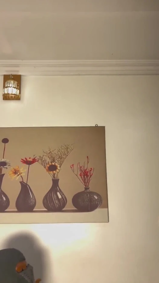 Joshblack yarak için acemi geldi