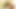 Porno yıldızı Brooklyn pembe amına mor bir oyuncak sokuyor