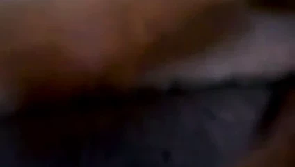 Eski kafa benim için onu kedi ile oynuyor