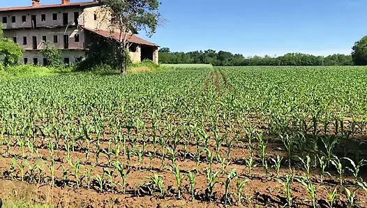 Ateşli evli kadın araba bagajında yoğun açık havada anal seks yapıyor - amatör bakış açısı gerçek çift
