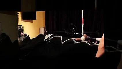 genital esaret menekşe