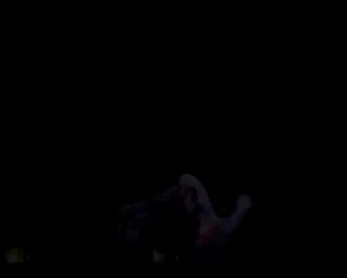 Symphonie pour une dissolution