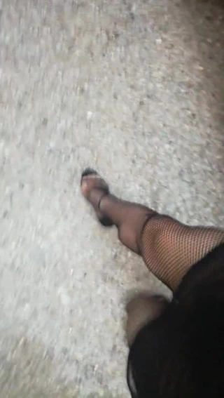 Ormanda öğleden sonra gezintisi