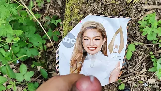 Gigi hadid haraç